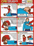 CPR For Adults Chart